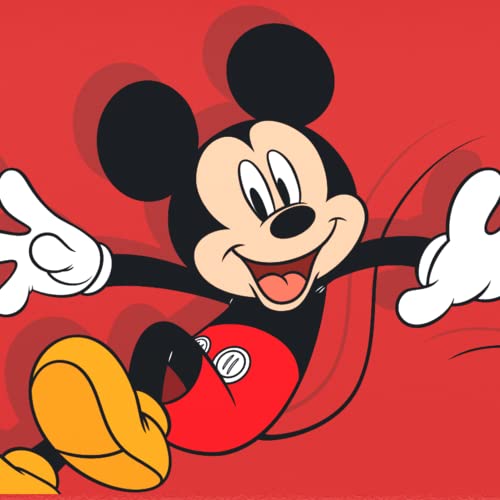 Disney Mickey Mouse Disney Mickey Mouse