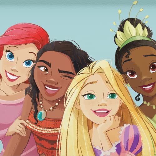 Disney Princess Disney Princess
